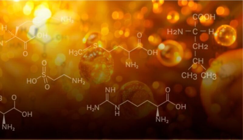 Гайд по аминокислотам, витаминам и витаминоподобным веществам в инъекционной практике косметолога Часть 2