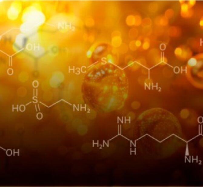 Гайд по аминокислотам, витаминам и витаминоподобным веществам в инъекционной практике косметолога Часть 2
