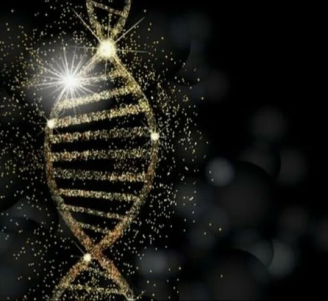 5й междисциплинарный семинар:Лишний вес, отеки и целлюлит в практике грамотного и успешного косметолога